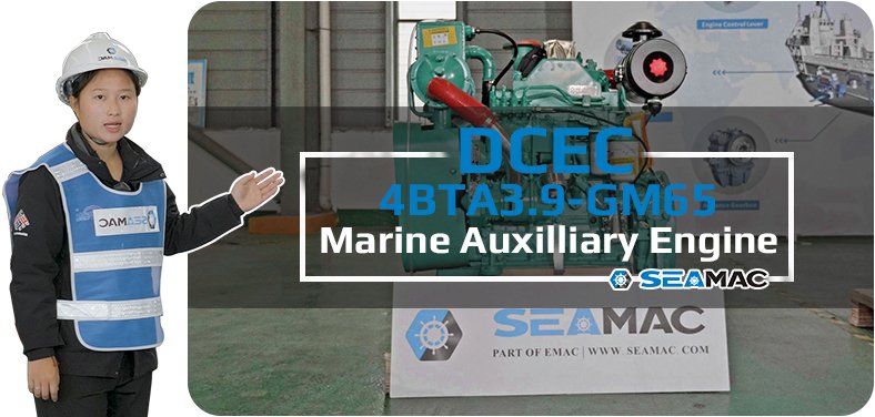 DCEC 4BTA3.9-GM65 Marine Engine Introduction Video